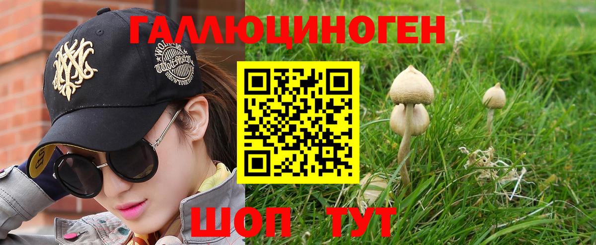 даркнет сайт  Псилоцибиновые грибы прущие грибы  Вход с VPN  Ликино-Дулёво 