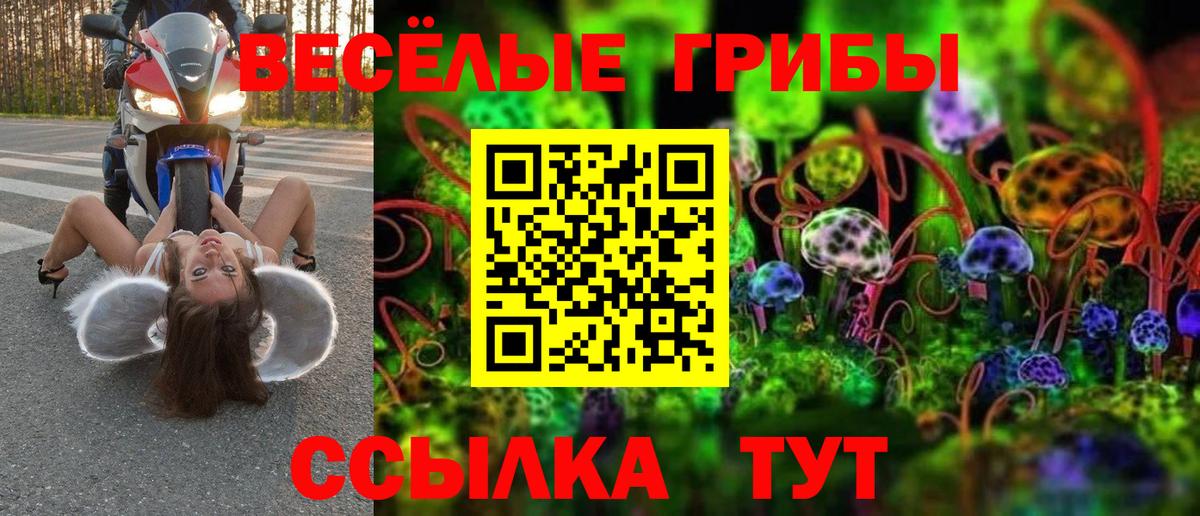 Псилоцибиновые грибы GOLDEN TEACHER Ликино-Дулёво